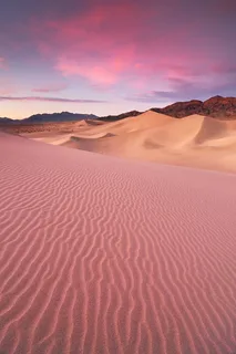 Desert Days